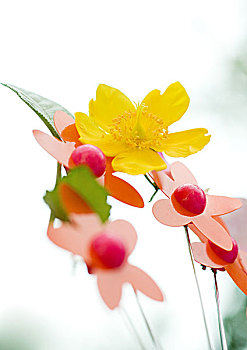 thống kê soi cầu miền bắc